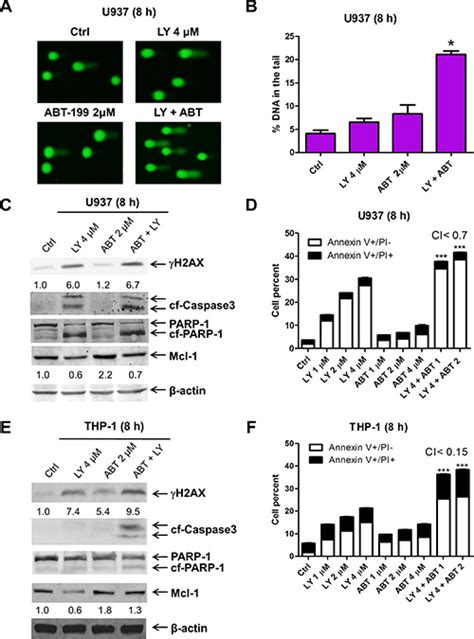 Inhibition Of Chk1 Enhances Cell Death Induced By The Bcl 2 Selective