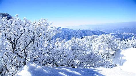 [이곳에 가면 주말이 즐겁다] 덕유산 ‘눈꽃산행’