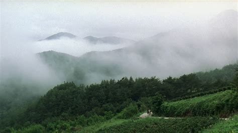 picture  spring summer fall winter  spring