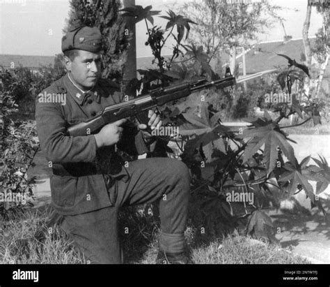Bulgarian Soldier Black And White Stock Photos And Images Alamy