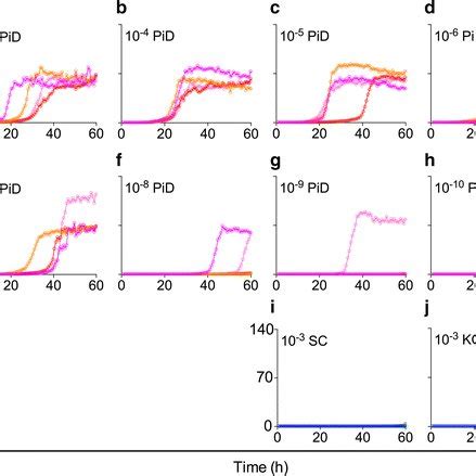 End Point Dilution Tau Rt Quic Analysis Of Two Pid Csf Samples To