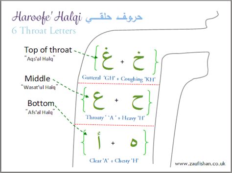 Heavy Letters Arabic Weswatcher