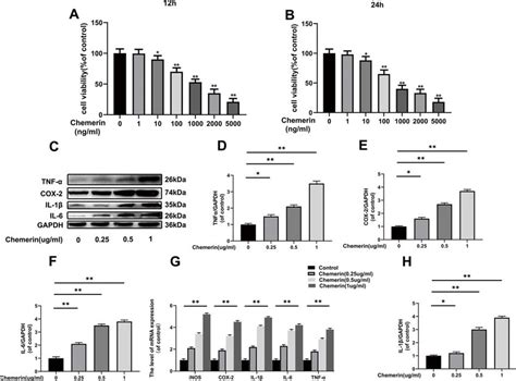 Effects of chemerin on the viability, and inflammatory responses of ... 