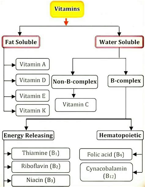 The Innovation | Medicine on Twitter: "Different types of vitamins ...