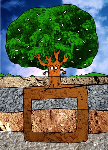 Square Root By Munguia | Nature Cartoon | TOONPOOL