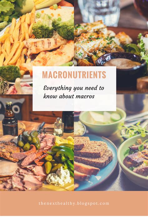 Macronutrients Everything You Need To Know About Macros The Next