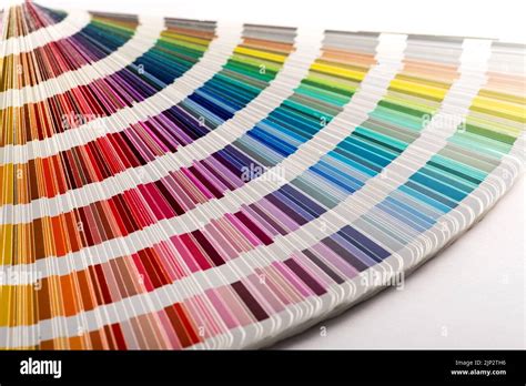 Color Palette Shade Spectrum Color Palettes Colours Spectrums