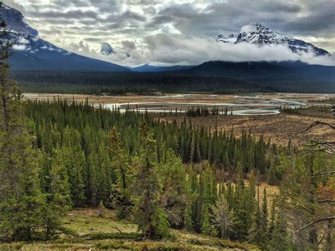 banff, beauty, canada, canadian rocky mountains, nature, rocky ...