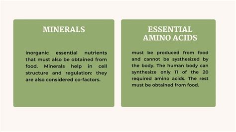 Comparison And Contrast Plant And Animal Nutrition Ppt