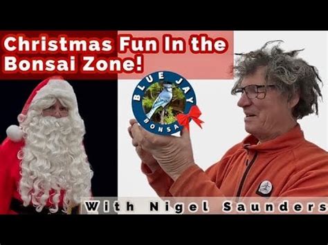 Christmas Fun In The Bonsai Zone With Nigel Saunders Youtube