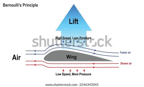 Diagram Showing Bernoullis Principle How Airplane Stock Vector Royalty