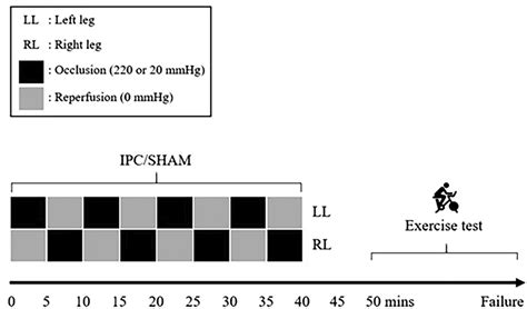 Schematic Of Ischemic Preconditioning Ipc And Sham Intervention With