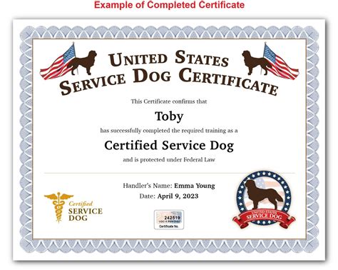 Service Dog Certificate | ubicaciondepersonas.cdmx.gob.mx