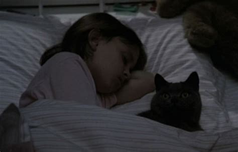 pet sematary cat church - Manda Ramon