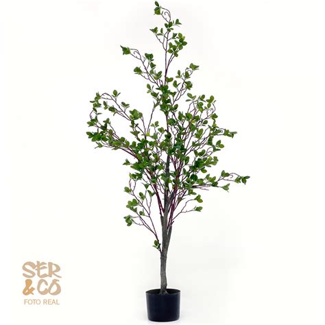 Arbol De Encina Mod1 150 Y 180 Cm Sercomkp