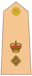 Lieutenant Colonel