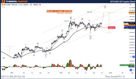 Bitcoin Elliott Wave Technical Analysis Video