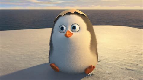 Cute Penguin Wallpapers Top Free Cute Penguin Backgrounds