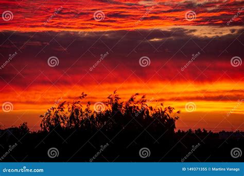 Colores Rojos Dram Ticos De La Puesta Del Sol En El Cielo Sobre Rboles