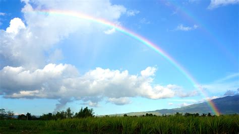 Royalty-Free photo: Rainbow during daytime | PickPik