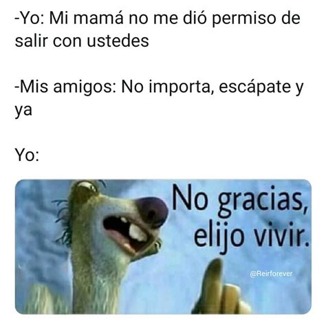 Mi Rutina Diaria Es Sencilla Me Despierto Y Sufro Memes