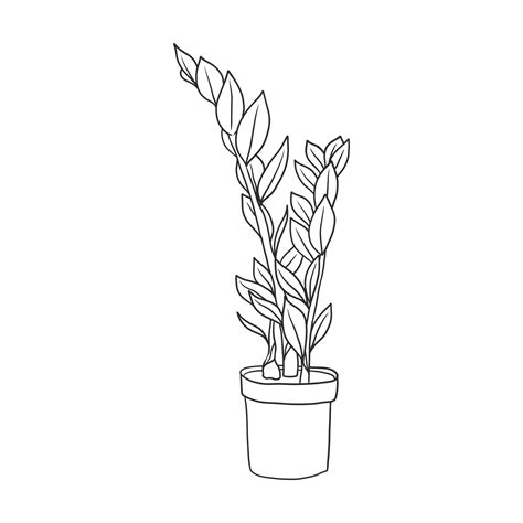 House Plant Illustration 11646218 Png