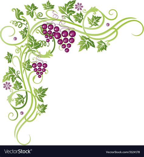 Grape Vines Royalty Free Vector Image Vectorstock