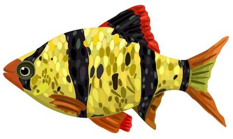 Tiger Fish Vector Art Icons And Graphics For Free Download