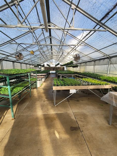 Chattooga FFA Plant Sale Announced | AM 1180 Radio