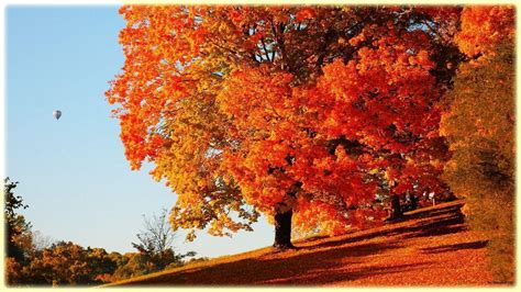 Fall Scenery Backgrounds - Wallpaper Cave