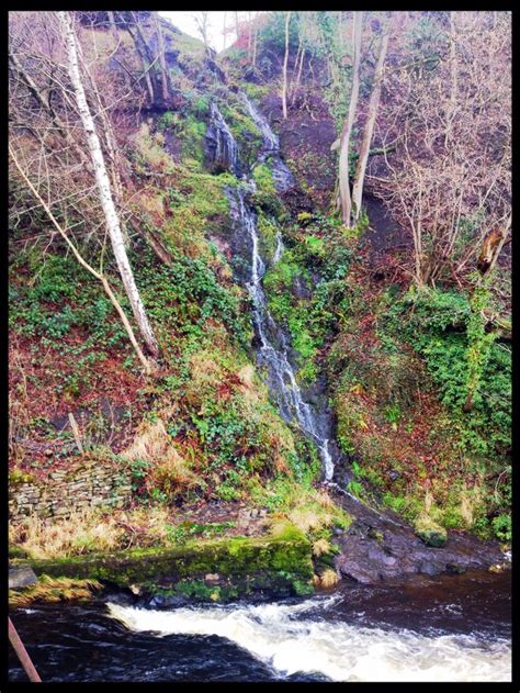 Bolton Abbey | Places to go, Natural landmarks, Bolton abbey