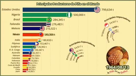 Pricipales Productores De Piña En El Mundo😁😁 Youtube