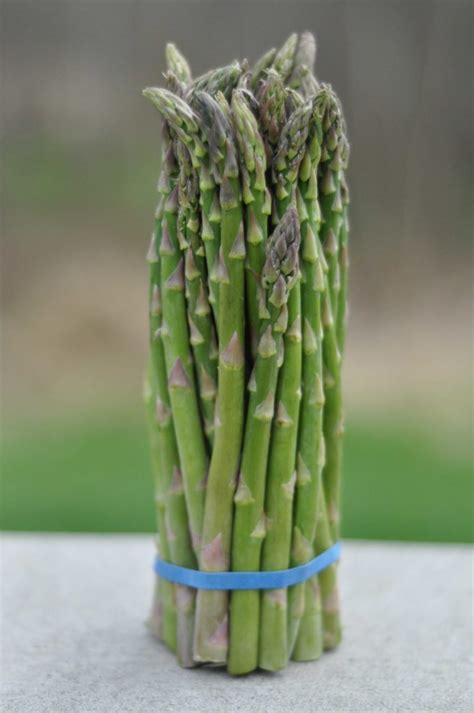 Roasted Asparagus