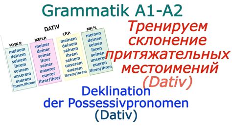 Склонение притяжательных местоимений /Дательный падеж /Deklination der ...