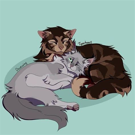 Dovewing X Tigerheart Warrior Cats Fan Art Warrior Cat Memes