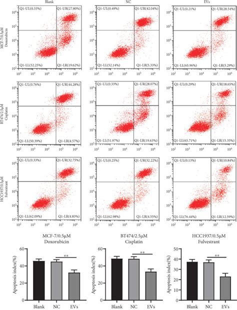 Mda Mb Derived Evs Promoted Bc Cell Drug Resistance A The