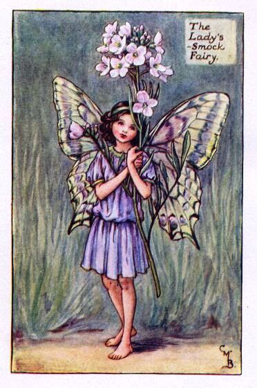 Ladys Smock Flower Fairy Vintage Print Cicely Mary Barker The