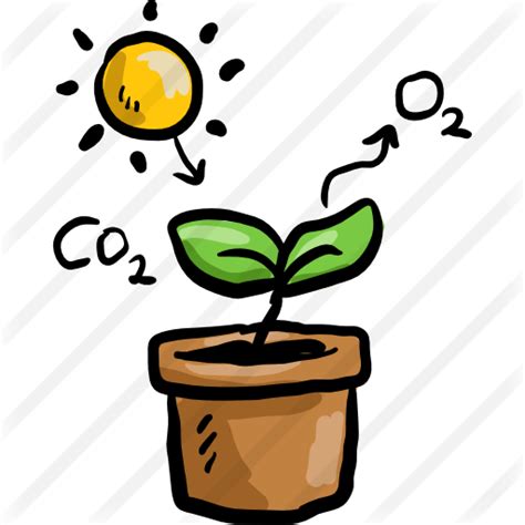 Free Photosynthesis Cliparts Download Free Photosynthesis Cliparts Png