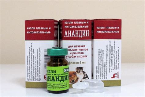 Глазные капли для кошек: цены и виды препаратов для глаз