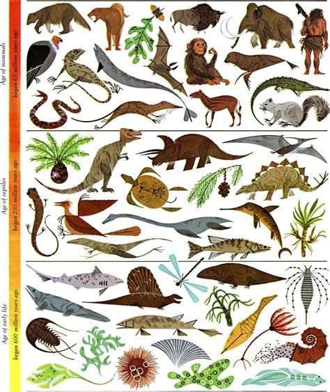 Golden Book Of Biology The Charley Harper Gallery