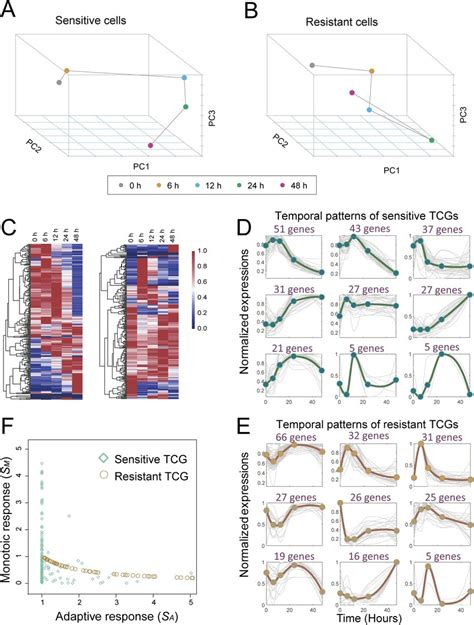 Distinct Temporal Gene Expression Profiles And Patterns Of