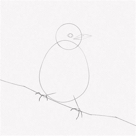 Top 25 Birds To Draw Easy Update