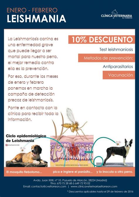 Campa A De Prevenci N De La Leishmaniosis Cl Nica Veterinaria El Torre N