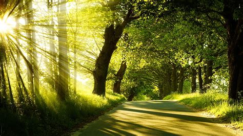 Paisajes Naturaleza árboles Fotografía Luz Del Sol Carreteras Rayos De Sol 1920x1080 Fotografía