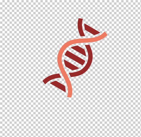 Dna Dna Png Klipartz