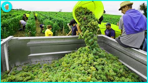 American Farmers Harvest Thousands Of Tons Of Agricultural Products