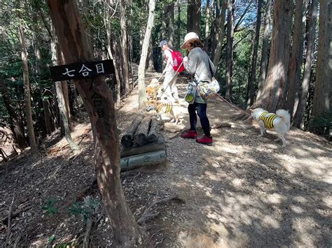 「多度山」は愛犬とも登れる登山初心者におすすめの山！駐車場やおすすめコースをご紹介！ 取材レポート 観光三重 かんこうみえ