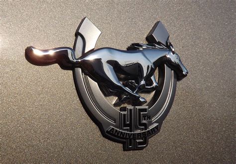 Mustang Th Anniversary Emblem Photograph By Elizabeth Sullivan Fine