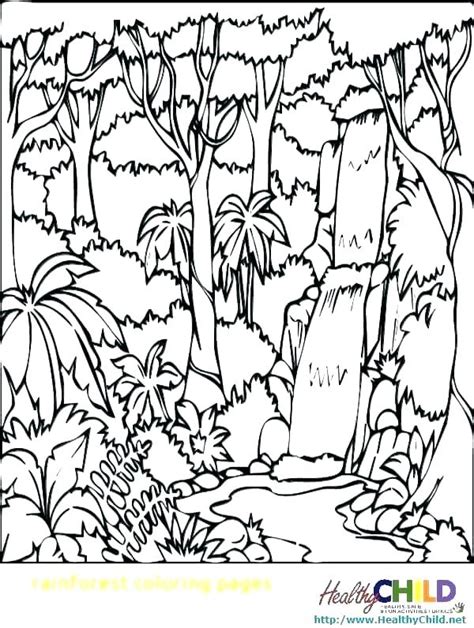 Tropical Rainforest Coloring Pages at GetColorings.com | Free printable ...