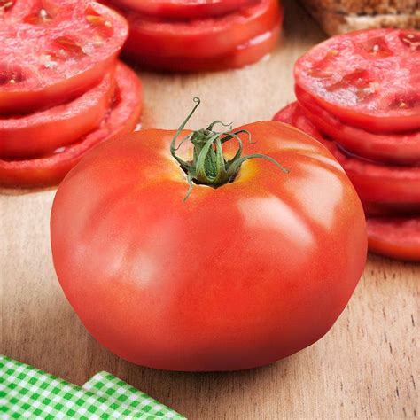 Bonnie Plants 19 Oz Bhn 602 Tomato Plant 0250 The Home Depot